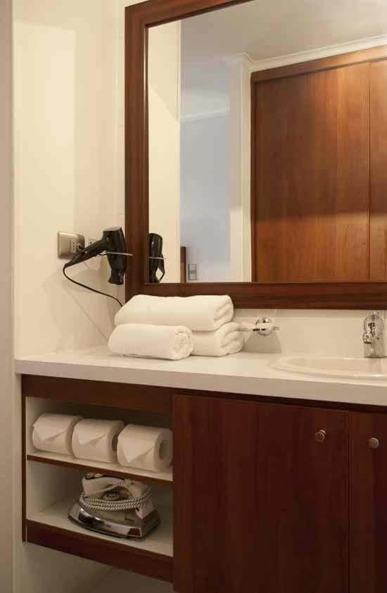 Park Plaza Apart Hotel Santiago de Chile Rum bild